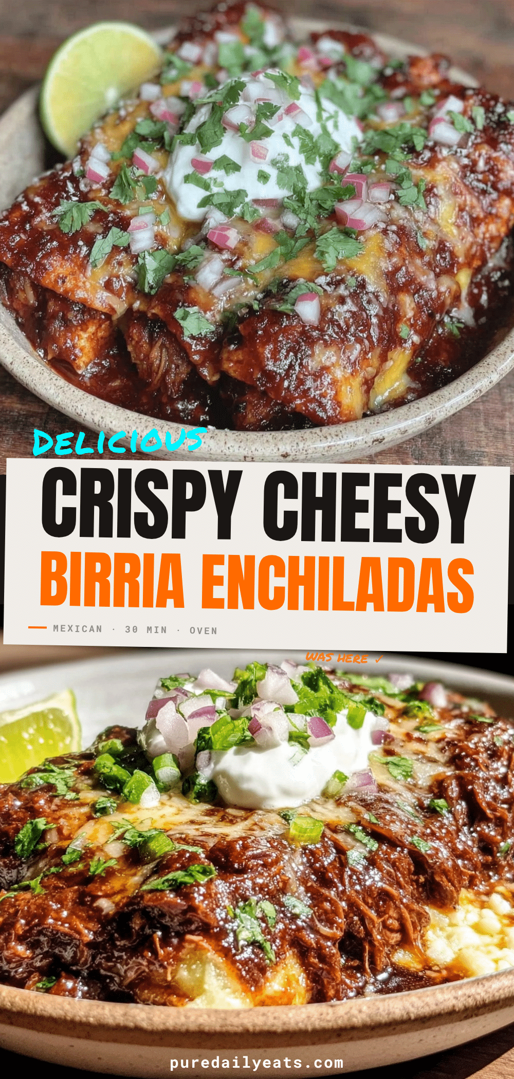 birria enchiladas recipe