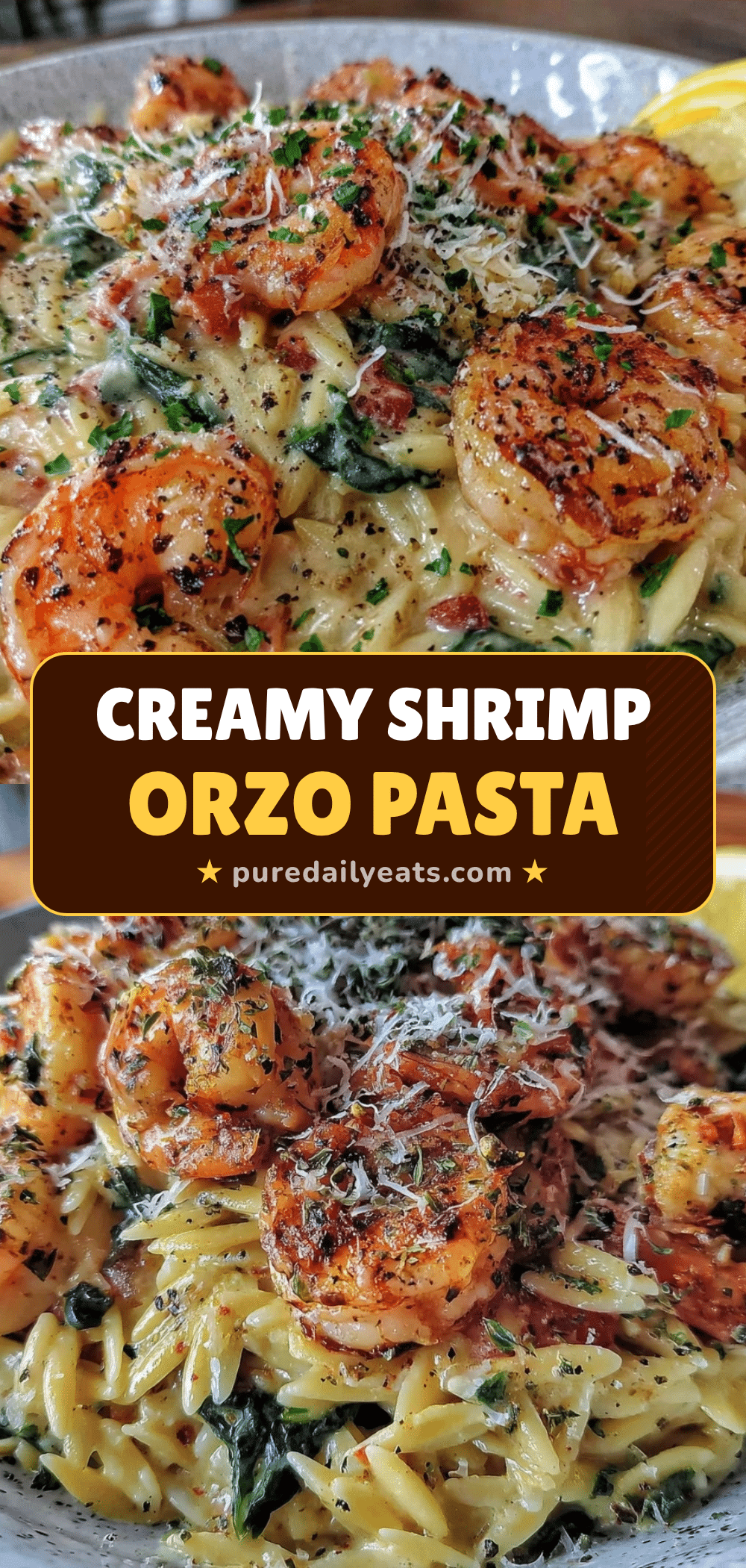 creamy shrimp orzo pasta recipe